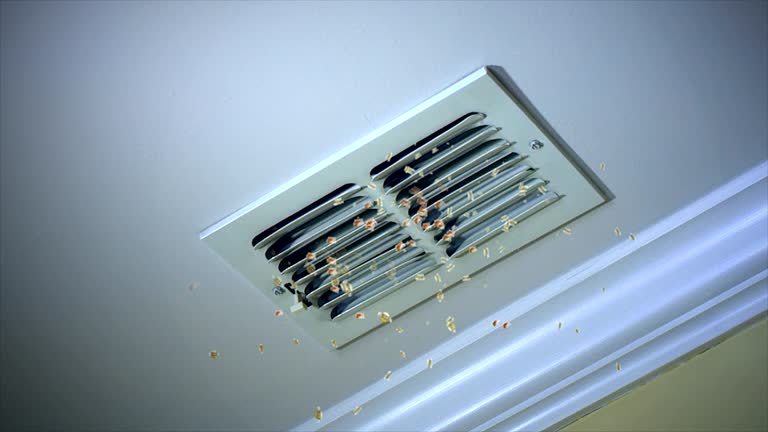 Best Affordable Duct Cleaning Services  in Barboursville, WV