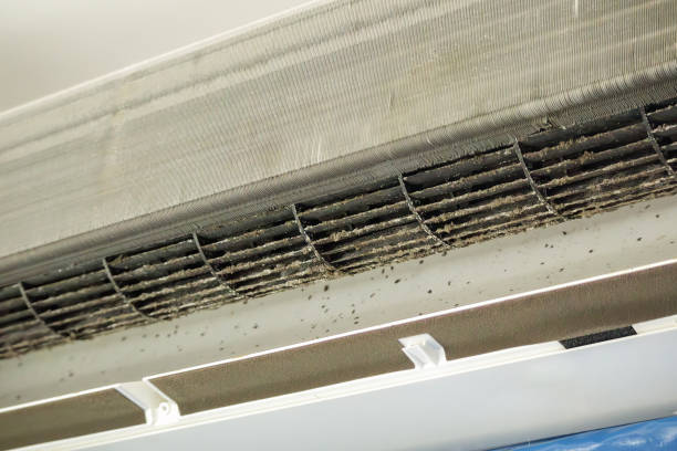Best Air Duct Cleaning Near Me  in Barboursville, WV